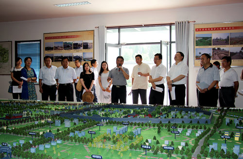 市政协视察文物保护工作