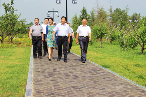 市政协视察文物保护工作